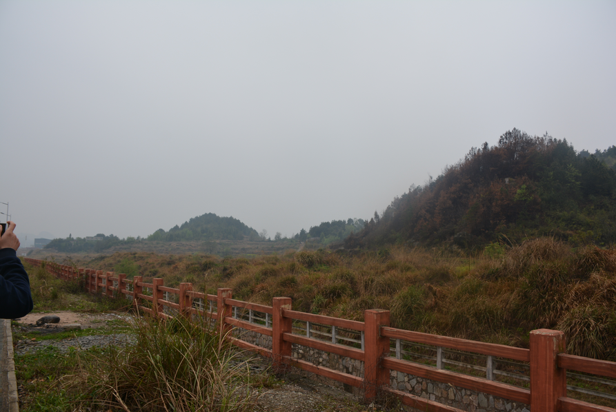 考察現場